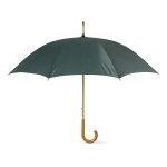 Manual umbrella with pole, tips and crown, Ø 104 green colour third view