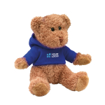 Teddy bear with hooded jacket for children blue colour view with print area