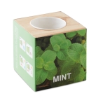 Mint seed flower pot for the home or office wood colour