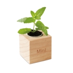 Mint seed flower pot for the home or office wood colour third view