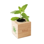 Mint seed flower pot for the home or office wood colour third main view