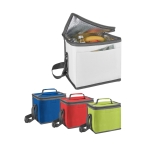 Durable cooler bag, Cube various colours