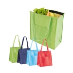 Non-woven cooler bag with long handles, 80 g/m2, Shopper various colours