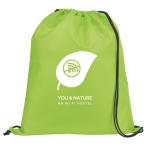 Drawstring bag with reinforced corners, 210D light-green colour image with logo 2