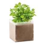 Basil seed packet for promotions beige colour