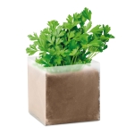 Parsley seed bags, for sustainable corporate promotions beige colour