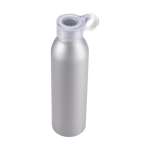 Spill-proof bottle with matte finish, 650 ml silver colour