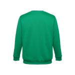 Unisex cotton and polyester sweatshirt, 300 g/m2 green colour second view