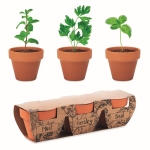 Set of 3 terracotta flower pots and herb seeds for promotions brown colour