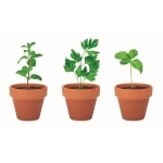 Set of 3 terracotta flower pots and herb seeds for promotions brown colour sixth view