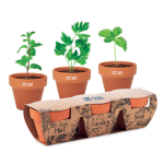 Set of 3 terracotta flower pots and herb seeds for promotions view with print area