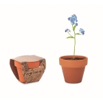 Flower pot with forget-me-not seeds as an promotional gift brown colour