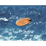 Floating cork keyring, oval-shaped royal blue colour second ambient view