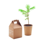 Flower pot with pine seeds as a sustainable promotional gift beige colour second view