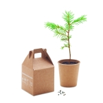 Flower pot with pine seeds as a sustainable promotional gift beige colour eighth view