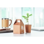 Flower pot with pine seeds as a sustainable promotional gift beige colour ambient view