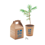 Flower pot with pine seeds as a sustainable promotional gift view with print area