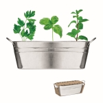 Metal flower pot with 3 different herb seeds matt silver colour