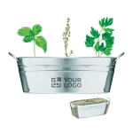 Metal flower pot with 3 different herb seeds view with print area