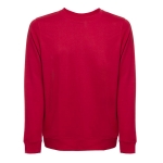 Unisex plush cotton sweatshirt, 240 g/m2, THC Colombo red colour first view