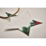 Star-shaped decoration, made of wildflower seed paper white colour third photographic view