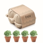 Set of 4 flower pots with cress seeds beige colour