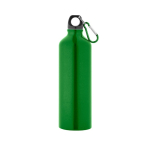 Large coloured aluminium bottle with carabiner 800ml light-green colour