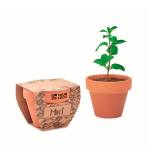 Terracotta flower pot with mint seeds and soil tablet view with print area