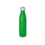 Recycled bottle, stainless steel, matte, 770 ml green colour