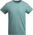 Men’s organic cotton jersey t-shirt, 175 g/m², Roly aquamarine colour