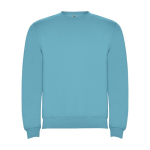 Unisex cotton and polyester jersey sweater, 280 g/m², Roly turquoise colour