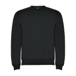 Unisex cotton and polyester jersey sweater, 280 g/m², Roly graphite colour