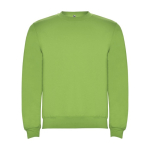 Unisex cotton and polyester jersey sweater, 280 g/m², Roly lime colour