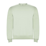 Unisex cotton and polyester jersey sweater, 280 g/m², Roly