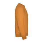 Unisex cotton and polyester jersey sweater, 280 g/m², Roly