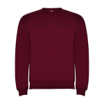 Children’s cotton and polyester jersey sweater, 280 g/m², Roly burgundy colour