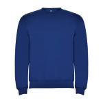 Children’s cotton and polyester jersey sweater, 280 g/m², Roly royal blue colour