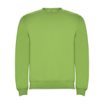 Children’s cotton and polyester jersey sweater, 280 g/m², Roly lime colour