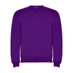 Children’s cotton and polyester jersey sweater, 280 g/m², Roly purple colour