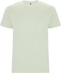 Men’s 100% cotton jersey t-shirt, 190 g/m², Roly mist green colour