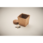 Square biodegradable plant pot with sunflower seeds, made in the EU beige colour fourth photographic view