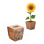 Square biodegradable plant pot with sunflower seeds, made in the EU beige colour view with print area