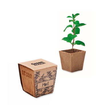 Square biodegradable plant pot with mint seeds, made in the EU