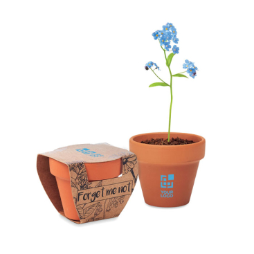 Flower pot with forget-me-not seeds as an promotional gift