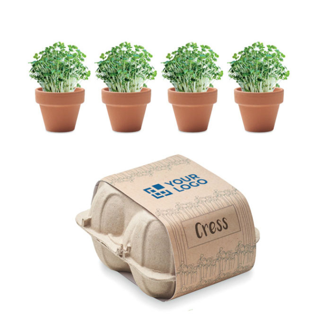 Set of 4 flower pots with cress seeds