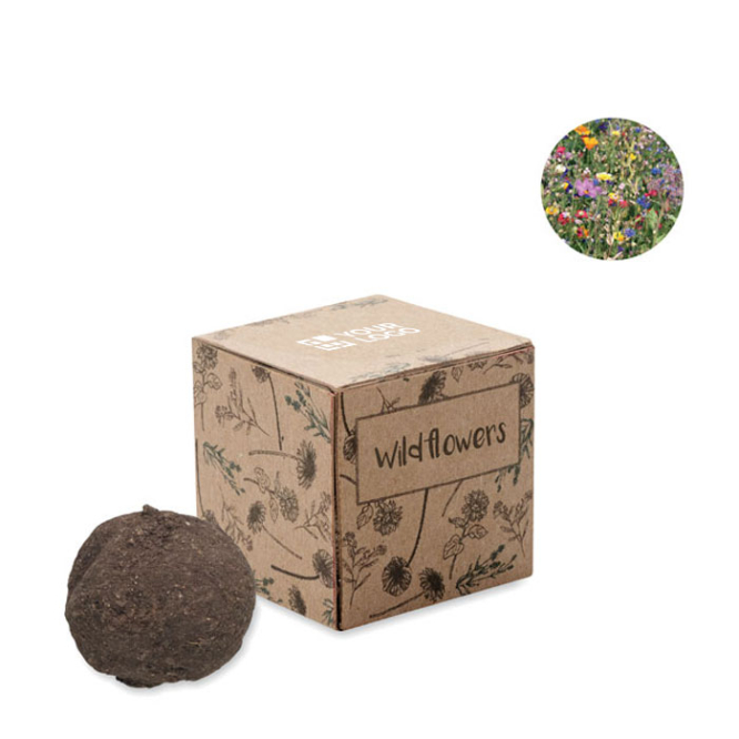 Wildflower seeds kit in a box