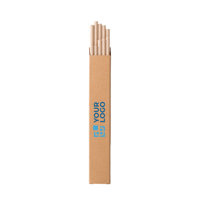 Straw set with 10 disposable kraft paper straws