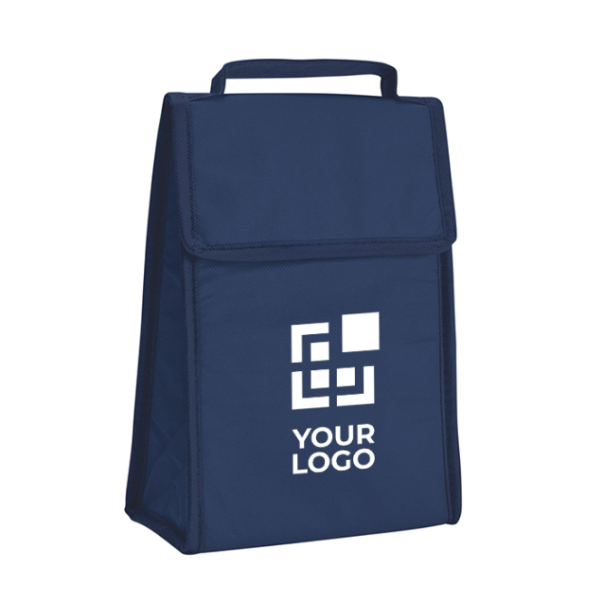 Foldable cooler bag non-woven fabric, 80 g/m2, Break