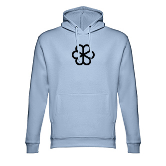 Unisex hooded sweatshirt, 320 g/m2, THC Phoenix